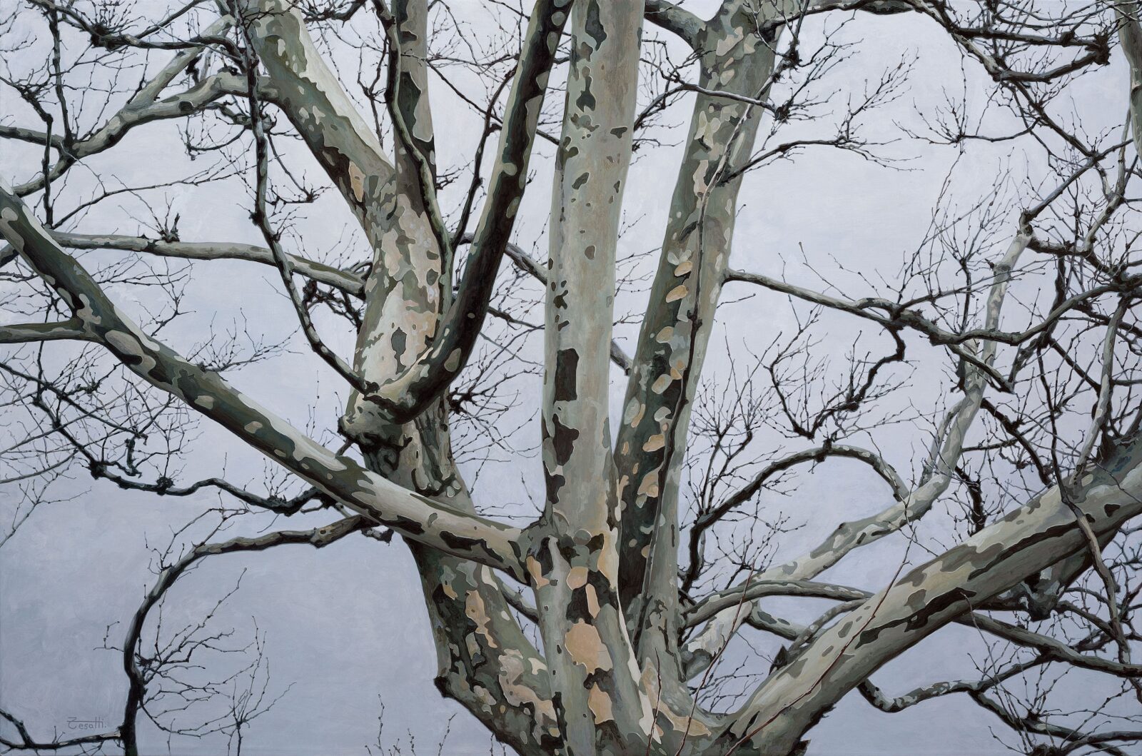 Hyperrealistic painting by Armando Zesatti depicting tree branches blending into their surroundings, rendered with intricate detail to emphasize visual camouflage, overlapping forms, and the subtle merging of nature and background.