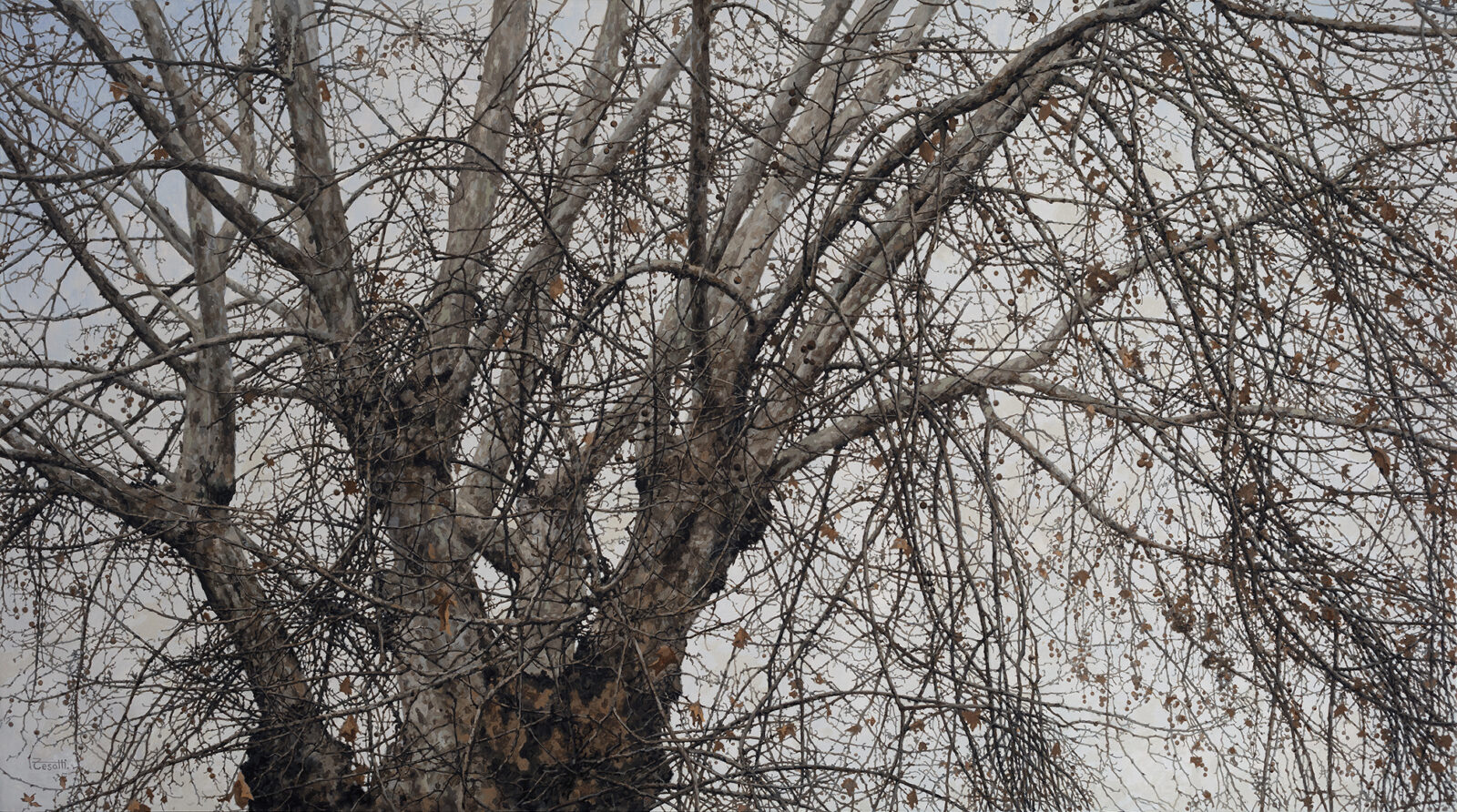Hyperrealistic painting by Armando Zesatti depicting bare trees on a gray, overcast day, rendered with subtle tonal variations to emphasize atmosphere, quietness, and the subdued mood of winter light.