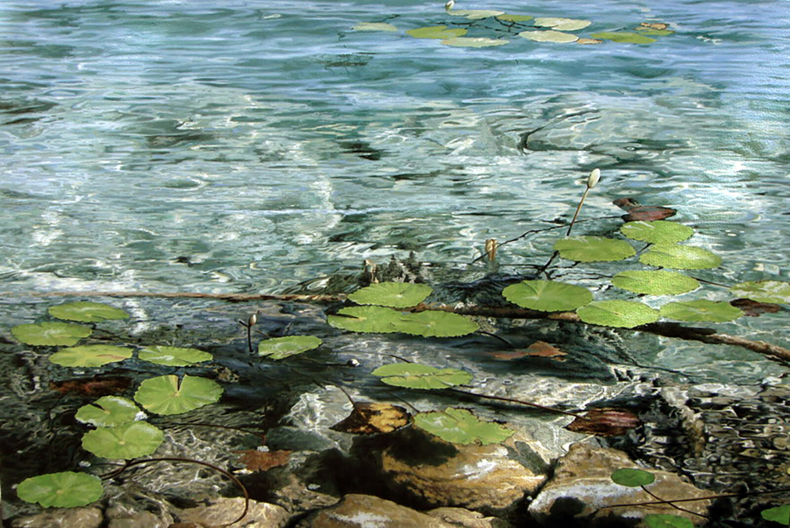 Hyperrealistic painting by Armando Zesatti depicting the clear waters of Bacalar with submerged stones and reflections, rendered with fine detail to emphasize transparency, color gradation, and the calm surface of the lagoon.