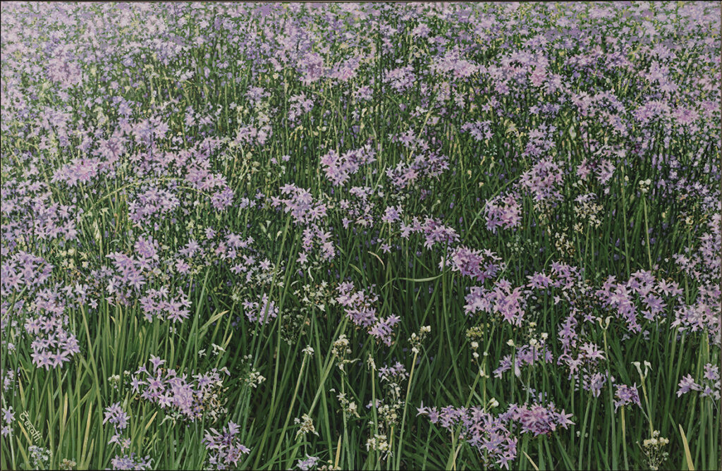 Hyperrealistic painting by Armando Zesatti depicting a field of purple flowers transitioning into green foliage, rendered with detailed textures and color gradation to emphasize contrast, growth, and the subtle shift between tones in nature.