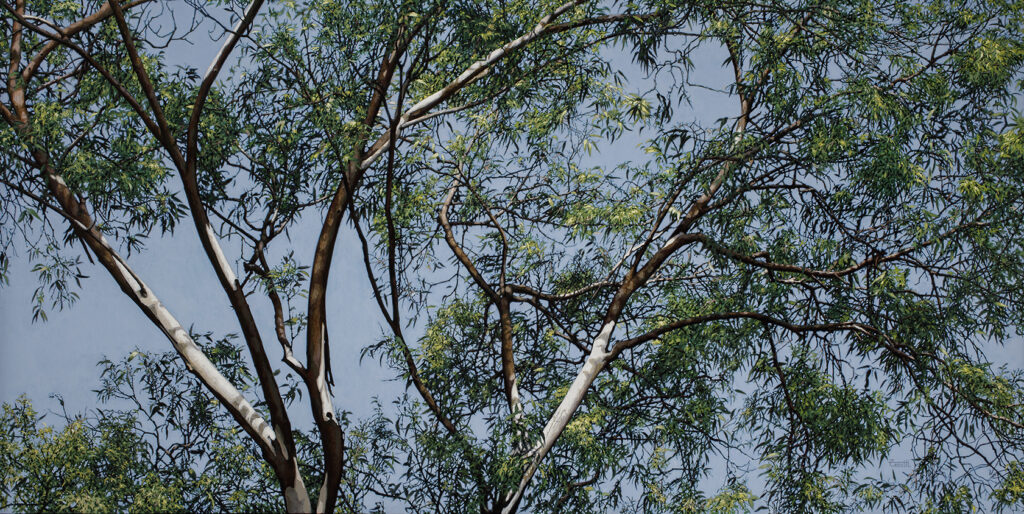 Hyperrealistic painting by Armando Zesatti depicting trees in Chapultepec during winter, rendered with fine detail to emphasize bare branches, light filtering through foliage, and the seasonal atmosphere within the urban park.