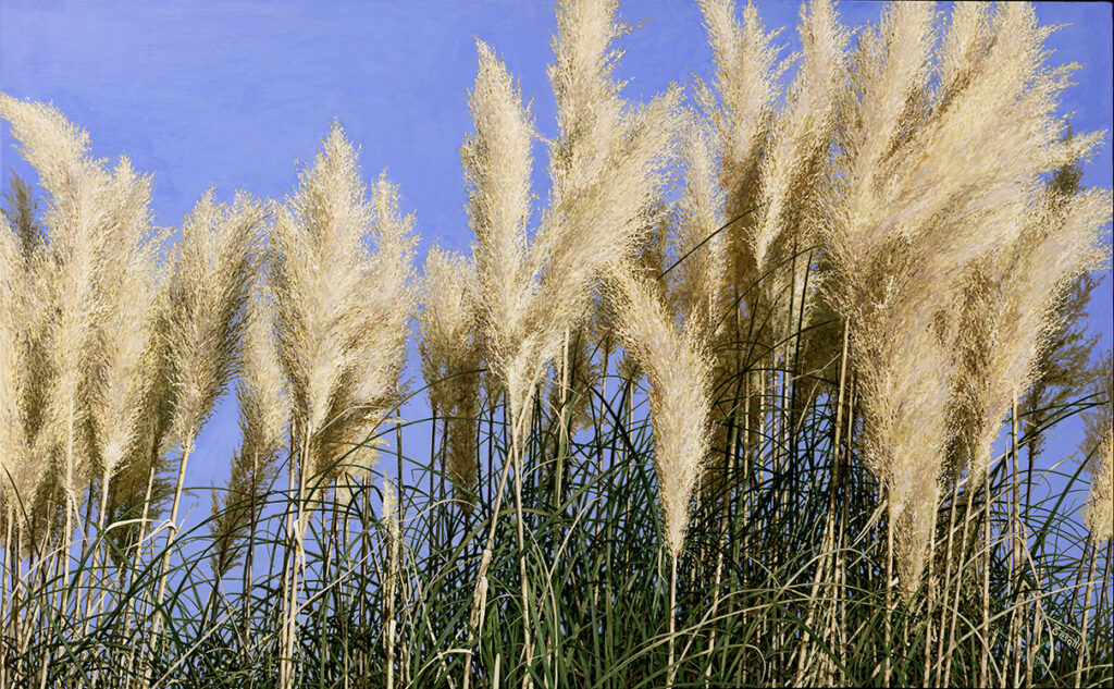 Hyperrealistic painting by Armando Zesatti depicting tall plumes of ornamental grass against the sky, rendered with fine detail to emphasize movement, light, and the soft rhythm of natural forms.
