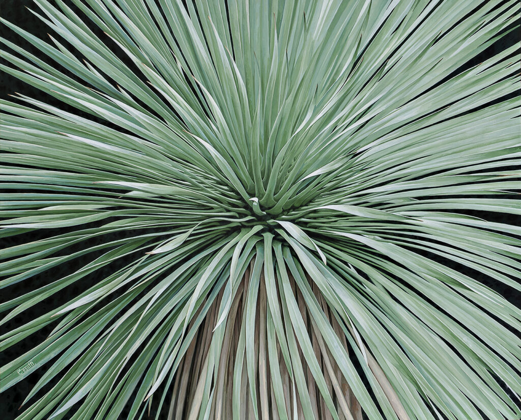 Hyperrealistic painting by Armando Zesatti depicting a radial plant form with spiky leaves, rendered with precise detail to emphasize symmetry, repetition, and a visually immersive, almost psychedelic natural pattern.