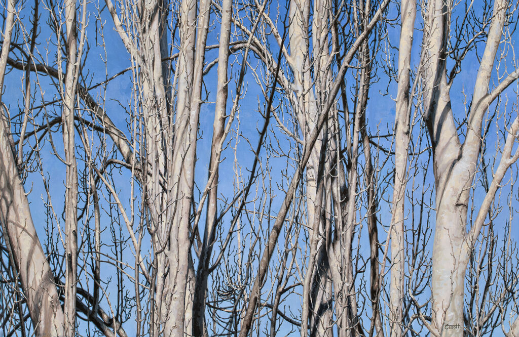 Hyperrealistic painting by Armando Zesatti depicting leafless tree trunks against the sky, rendered with fine detail to emphasize vertical lines, texture, and the stark stillness of winter vegetation.